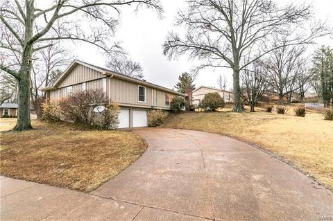 1010 Dutch Mill Dr, Ballwin, MO 63011 photo 41
