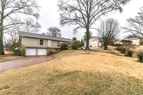 1010 Dutch Mill Dr, Ballwin, MO 63011 photo 42