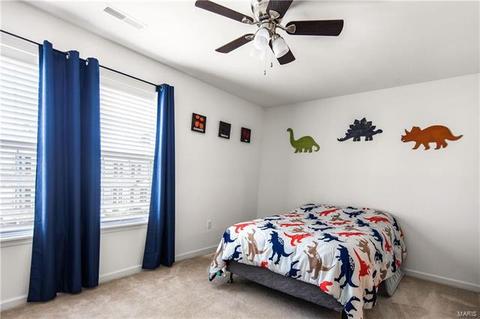 448 Wild Oak Dr, O'fallon, MO 63368 photo 16