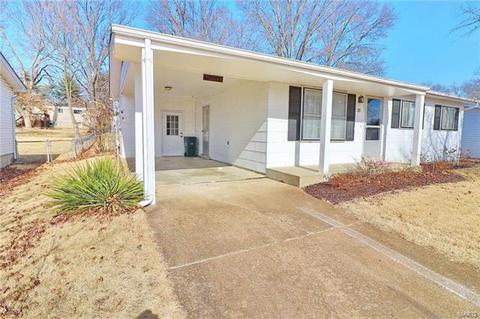 25 Evergreen Ct, Ballwin, MO 63021 photo 19