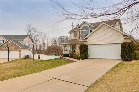 16 Lord Edward Ct, O'fallon, MO 63366 photo 3