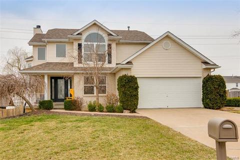 16 Lord Edward Ct, O'fallon, MO 63366 photo 1
