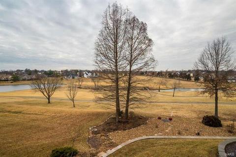 175 Blackrock, Weldon Spring, MO 63304 photo 13