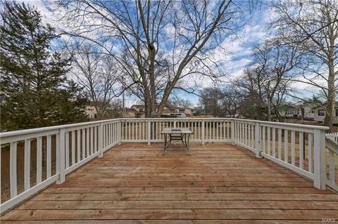 381 Novara Dr, Ballwin, MO 63021 photo 24