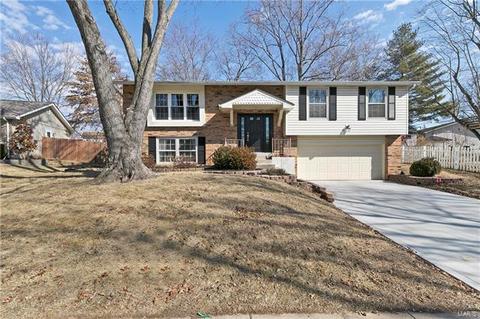 381 Novara Dr, Ballwin, MO 63021 photo 1