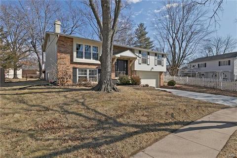 381 Novara Dr, Ballwin, MO 63021 photo 2