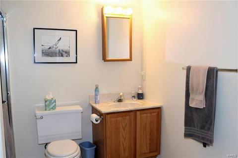 628 Loehr Estates Dr, Ballwin, MO 63021 photo 31