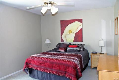 628 Loehr Estates Dr, Ballwin, MO 63021 photo 21