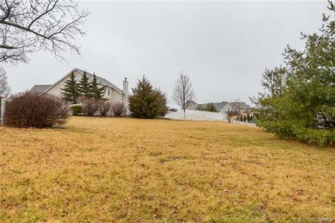 523 Legacy Pointe, Saint Peters, MO 63376 photo 50
