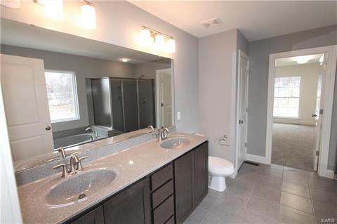 258 Ries Rd, Ballwin, MO 63021 photo 19