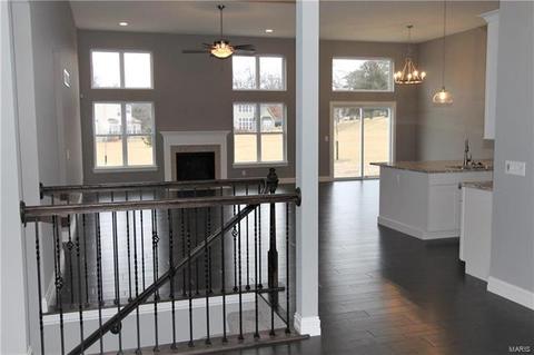 258 Ries Rd, Ballwin, MO 63021 photo 6