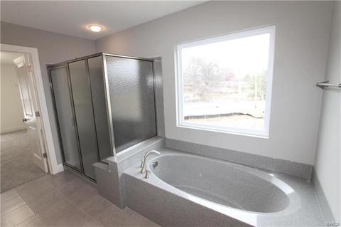 258 Ries Rd, Ballwin, MO 63021 photo 20