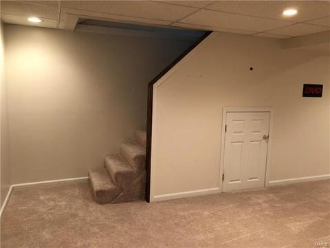 1516 Wild Berry, Ballwin, MO 63021 photo 22