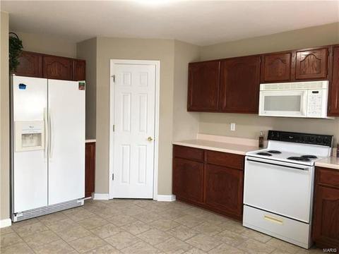 1516 Wild Berry, Ballwin, MO 63021 photo 15