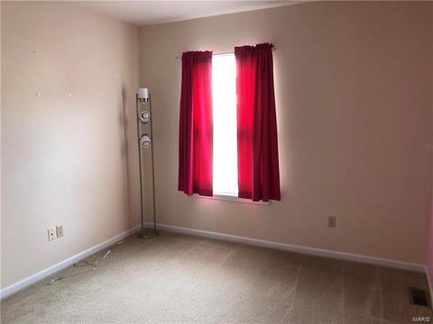 1516 Wild Berry, Ballwin, MO 63021 photo 38