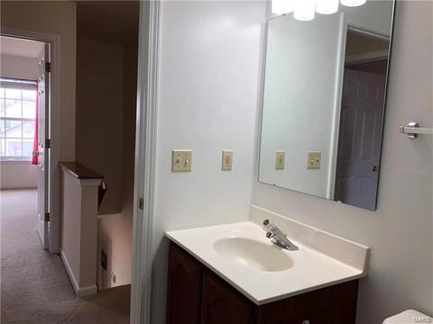 1516 Wild Berry, Ballwin, MO 63021 photo 46