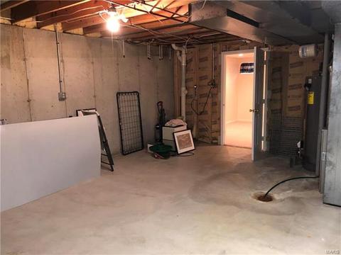 1516 Wild Berry, Ballwin, MO 63021 photo 49