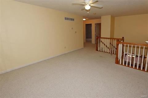 2 Marchand Ct, O'fallon, MO 63368 photo 20