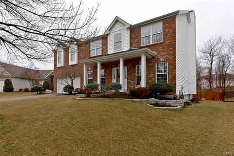 119 Wimbledon Ct, O'fallon, MO 63368 photo 41