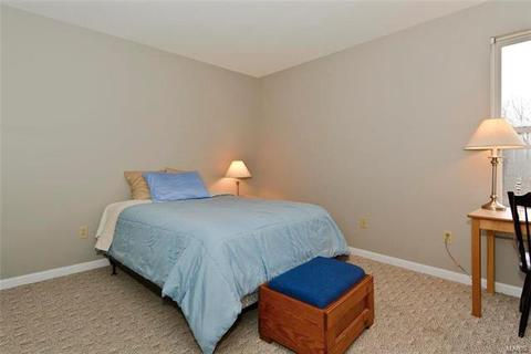 119 Wimbledon Ct, O'fallon, MO 63368 photo 31