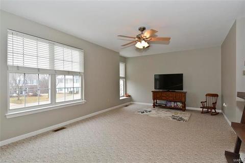 119 Wimbledon Ct, O'fallon, MO 63368 photo 20