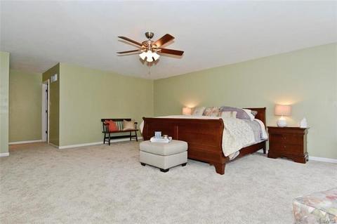 119 Wimbledon Ct, O'fallon, MO 63368 photo 23