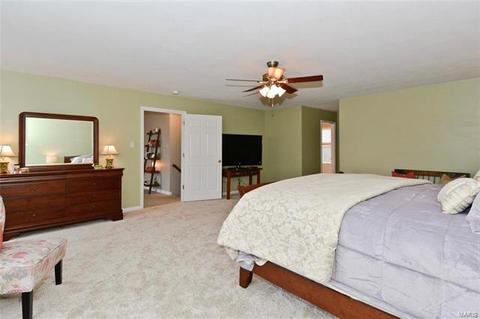 119 Wimbledon Ct, O'fallon, MO 63368 photo 24