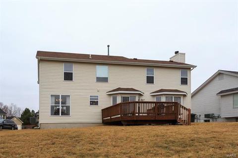 10 Breezy Point Ct, O'fallon, MO 63368 photo 20