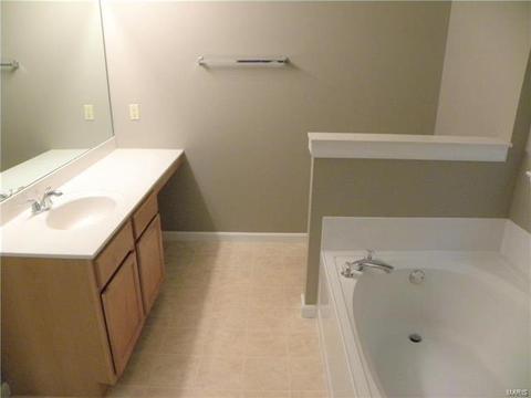 446 Covered Bridge Ln, O'fallon, MO 63368 photo 18
