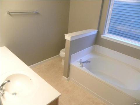 446 Covered Bridge Ln, O'fallon, MO 63368 photo 17
