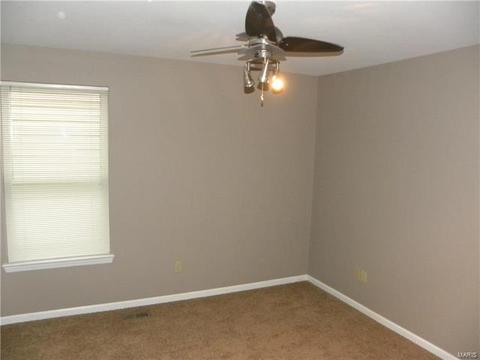 446 Covered Bridge Ln, O'fallon, MO 63368 photo 21