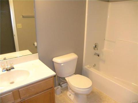 446 Covered Bridge Ln, O'fallon, MO 63368 photo 24