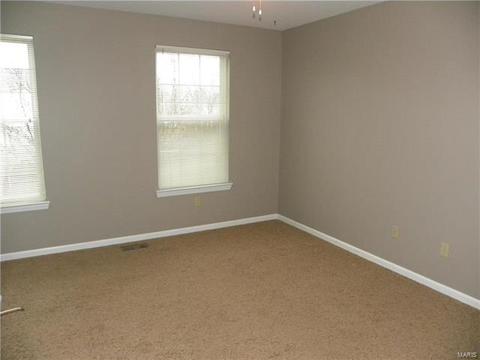 446 Covered Bridge Ln, O'fallon, MO 63368 photo 22