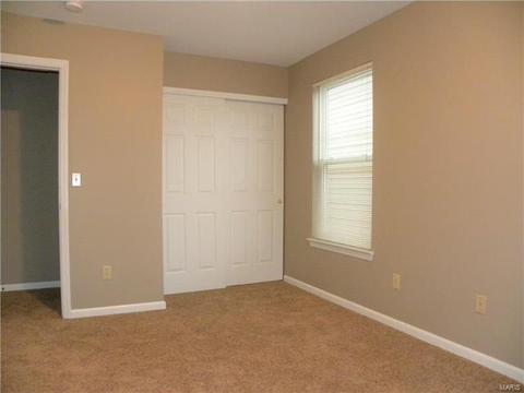 446 Covered Bridge Ln, O'fallon, MO 63368 photo 26