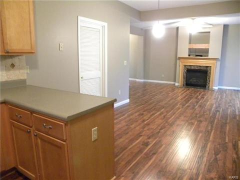 446 Covered Bridge Ln, O'fallon, MO 63368 photo 13