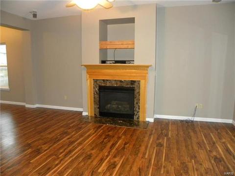 446 Covered Bridge Ln, O'fallon, MO 63368 photo 6