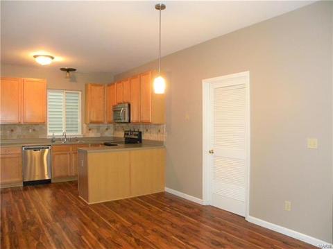 446 Covered Bridge Ln, O'fallon, MO 63368 photo 11