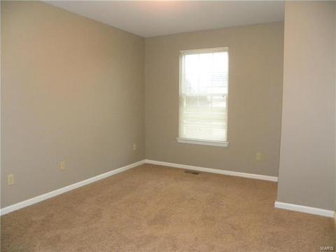 446 Covered Bridge Ln, O'fallon, MO 63368 photo 25