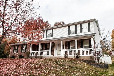 511 E Jackson, Saint Louis, MO 63119 photo 42