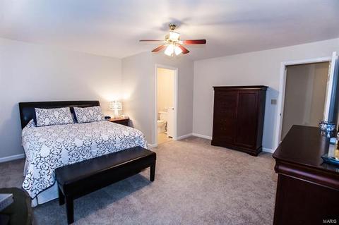511 E Jackson, Saint Louis, MO 63119 photo 18