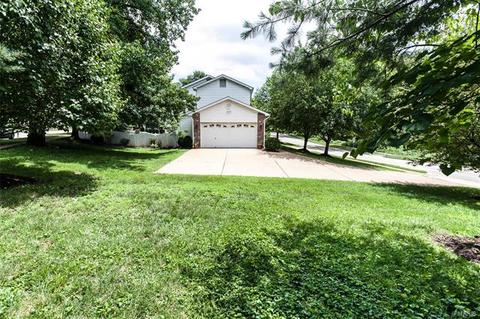 511 E Jackson, Saint Louis, MO 63119 photo 34