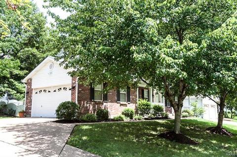 511 E Jackson, Saint Louis, MO 63119 photo 28