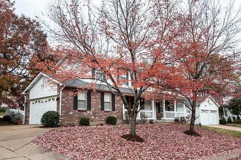 511 E Jackson, Saint Louis, MO 63119 photo 41
