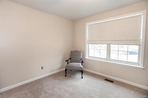 511 E Jackson, Saint Louis, MO 63119 photo 23