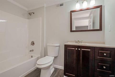 255 Brougham Dr, O'fallon, MO 63368 photo 29