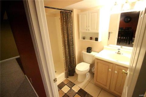 519 Princeway, Manchester, MO 63011 photo 33
