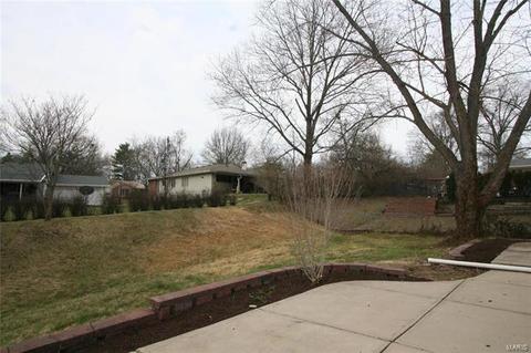 301 Baxter Rd, Ballwin, MO 63011 photo 47