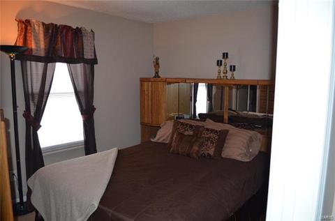 4 Holly Ct, O'fallon, MO 63366 photo 7