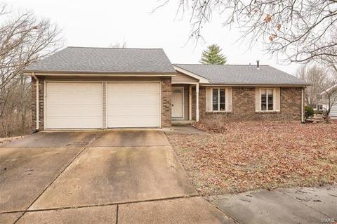 1516 Winding Bend Ln, Manchester, MO 63021 photo 20