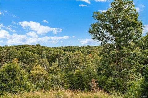 348 Panhurst Ct, Ballwin, MO 63021 photo 24